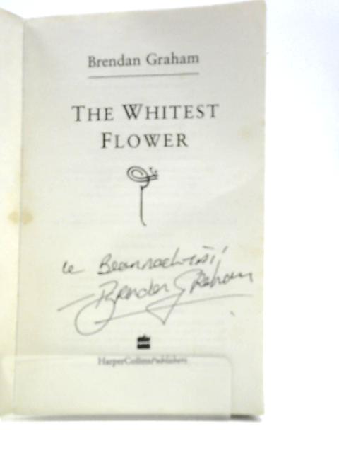 The Whitest Flower By Brendan Graham