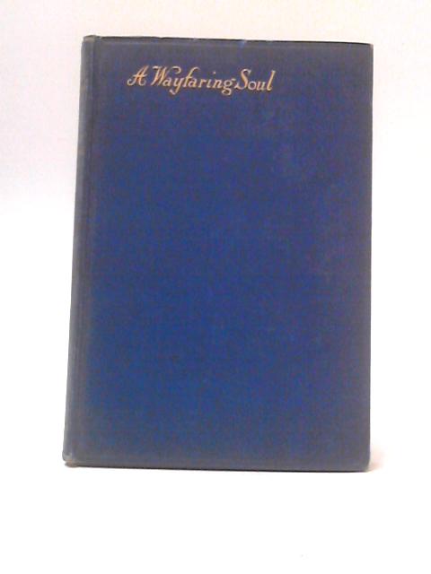 A Wayfaring Soul von Walter Raymond