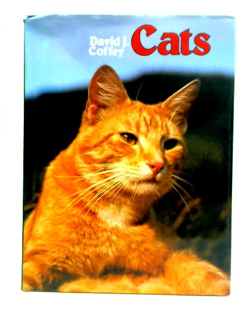 Cats von David J. Coffey