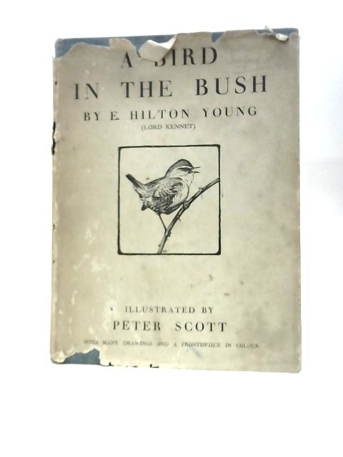 A Bird In The Bush By E.Hilton Young