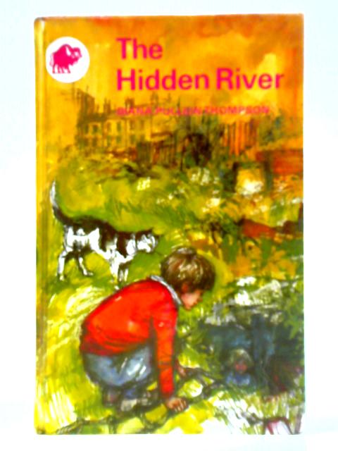 The Hidden River von Diana Pullein - Thompson