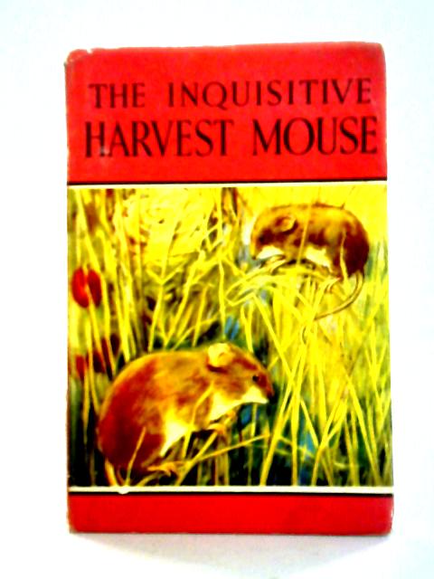 The Inquisitive Harvest Mouse By Noel Barr