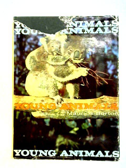 Young Animals By Maurice Burton