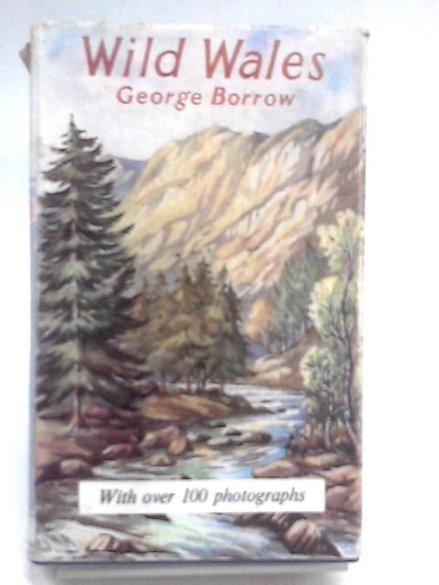 Wild Wales, Its People, Language and Scenery By George Borrow