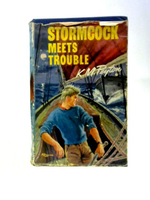 Stormcock Meets Trouble von K. M.Peyton