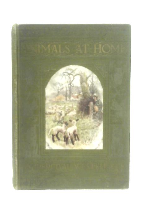 Animals At Home By W. Percival Westell