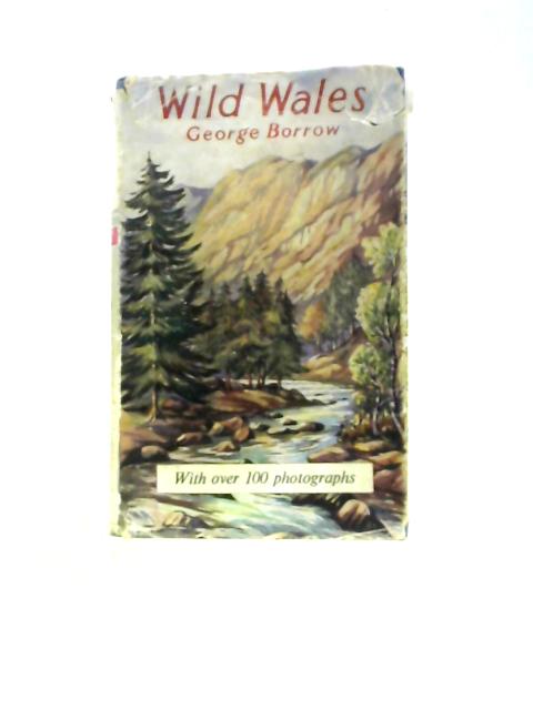 Wild Wales von George Borrow