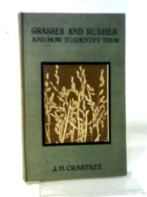 Grasses And Rushes, And How To Identify Them par J H Crabtree