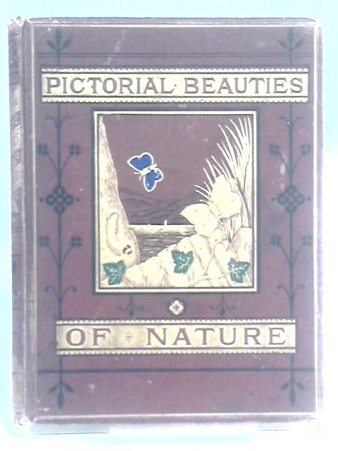 Pictorial Beauties of Nature, or, Sketches in Various Departments of Natural History von Various