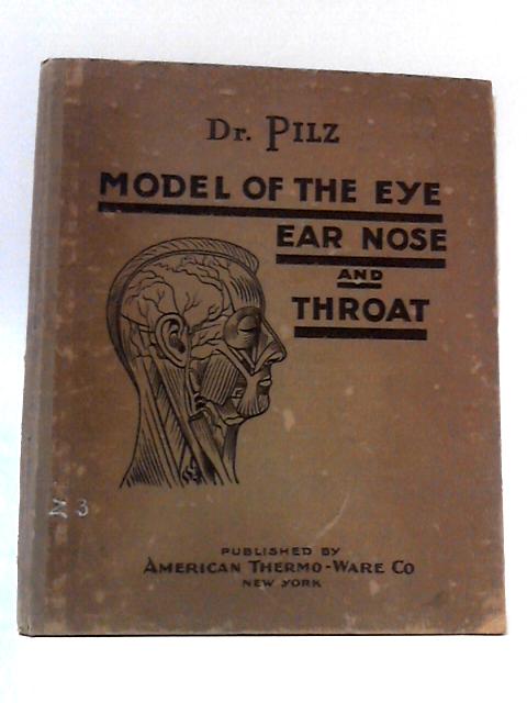 Anatomical Model of the Eye, Ear, Nose and Throat By Dr. Pilz