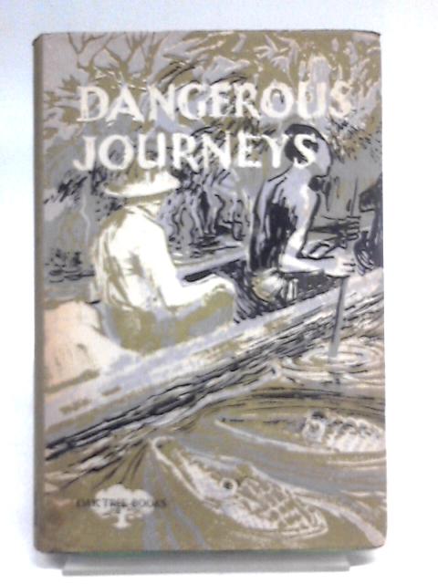 Dangerous Journeys von Leonard Roe (Ed.)