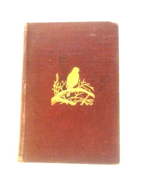 British Birds By W.H.Hudson