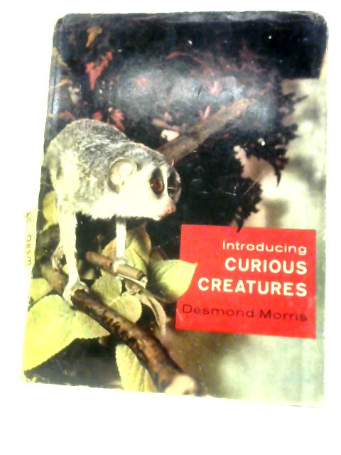Introducing Curious Creatures By Desmond Morris