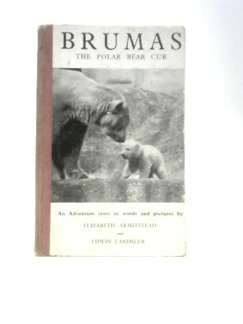 Brumas, the Polar Bear Cub par Elizabeth Armitstead