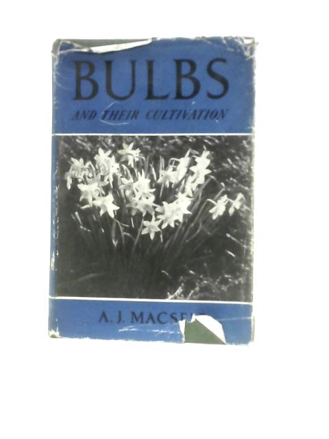 Bulbs and Their Cultivation By Albert James Macself