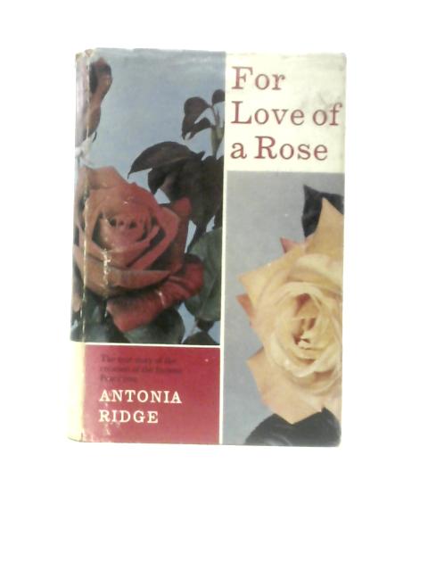 For Love of a Rose von Antonia Ridge