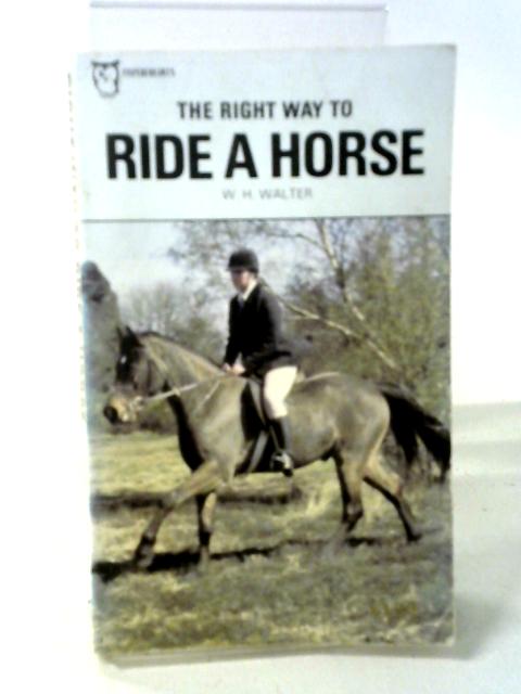 Right Way to Ride a Horse (Paperfronts S.) von William H. Walter