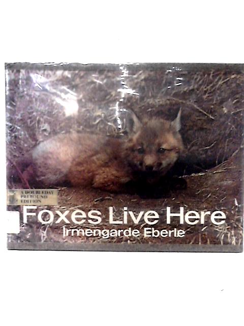 Foxes Live Here By Irmengarde Eberle