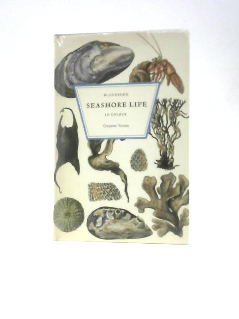 Seashore Life in Colour By Gwynne Vevers