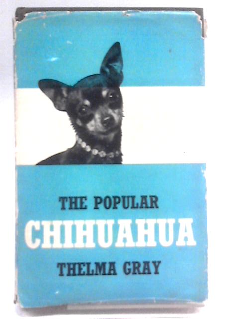 The Popular Chihuahua By Thelma Gray