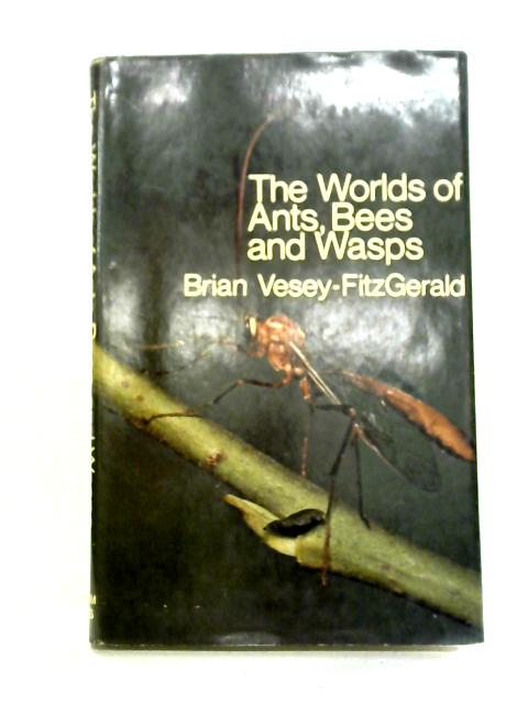 The Worlds of Ants, Bees and Wasps By Brian Vesey-Fitzgerald