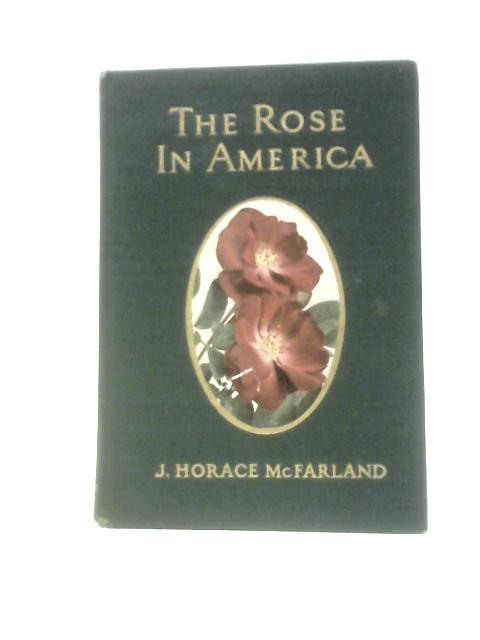 The Rose in America By J. Horace McFarland