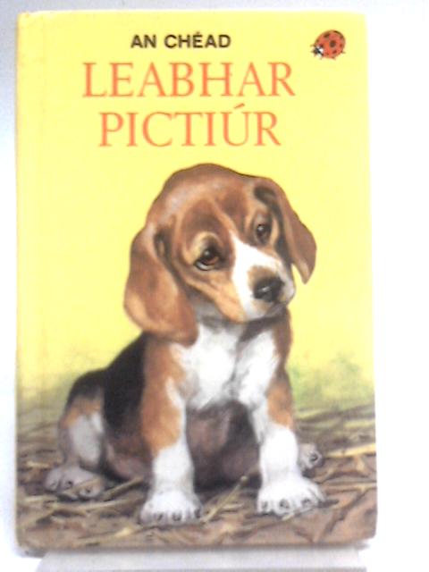 An Dara Leabhar Pictiur By Ethel And Harry Wingfield