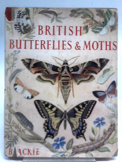 British Butterflies & Moths par Isobel St. Vincent
