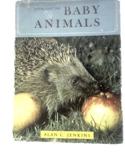 Introducing Baby Animals By Alan C.Jenkins