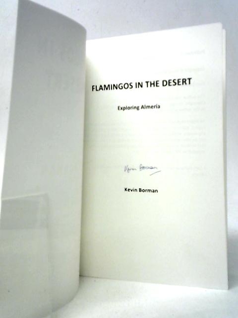 Flamingos in the Desert By Kevin Borman
