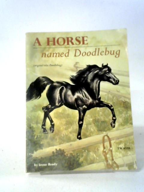 Horse Named Doodlebug By Irene Brady