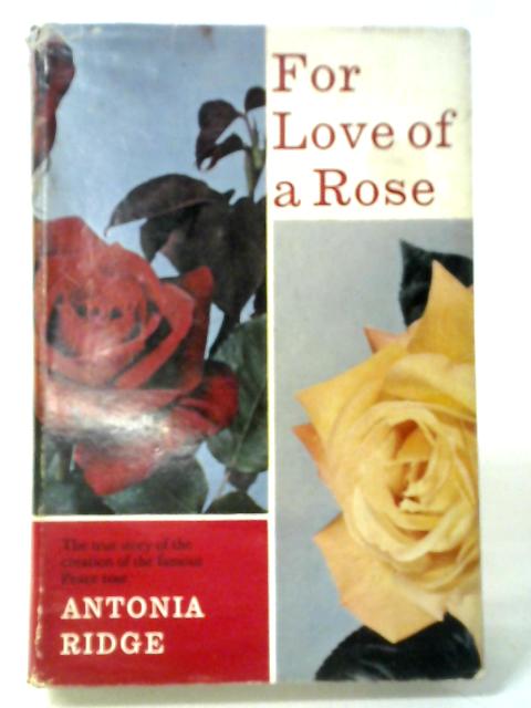 For Love of a Rose By Antonia Ridge