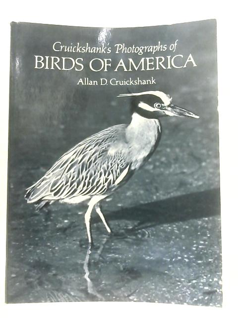 Photographs of Birds of America By Allan D. Cruickshank