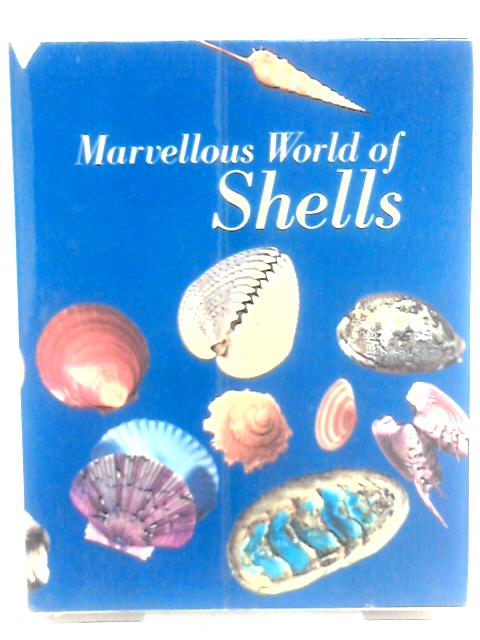 Marvellous World of Shells By Donata Lucifora