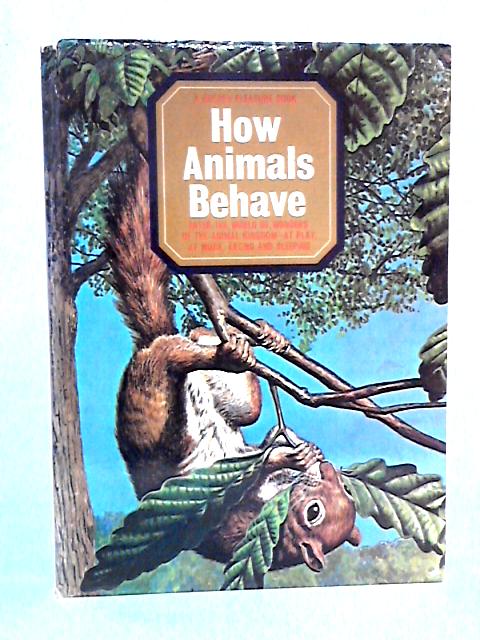 How Animals Behave By Ann Finlayson