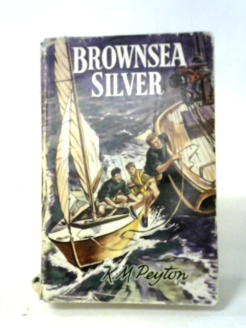 Brownsea Silver By K M Peyton