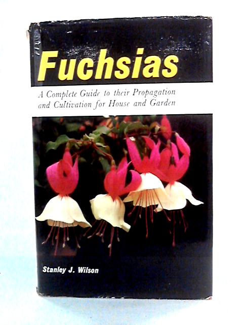 Fuchsias By Stanley J. Wilson