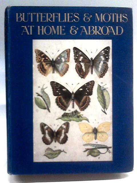 Butterflies And Moths At Home And Abroad par H Rowland-brown