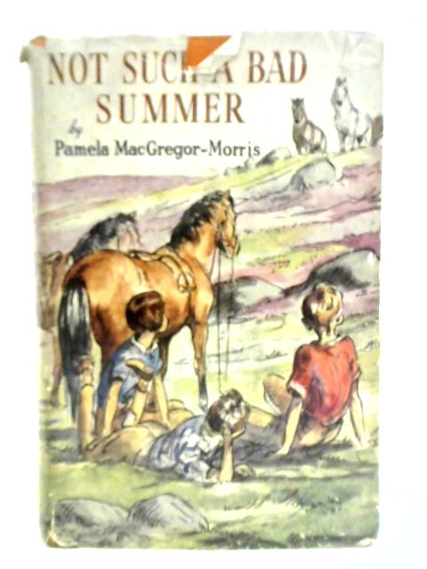 Not Such A Bad Summer: A Story Of Dartmoor By Pamela Macgregor-Morris