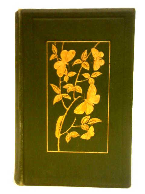 Butterflies & Moths of the United Kingdom von W. Egmont Kirby