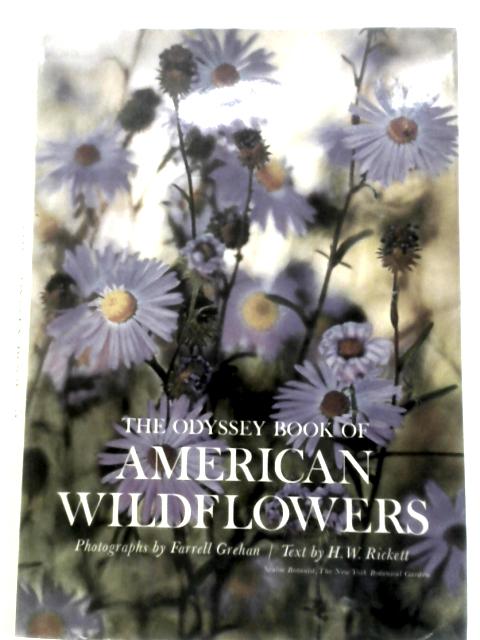 The Odyssey Book of American Wildflowers By H.W. Rickett