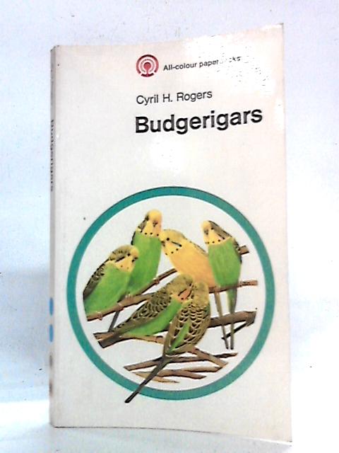 Budgerigars By Cyril H. Rogers
