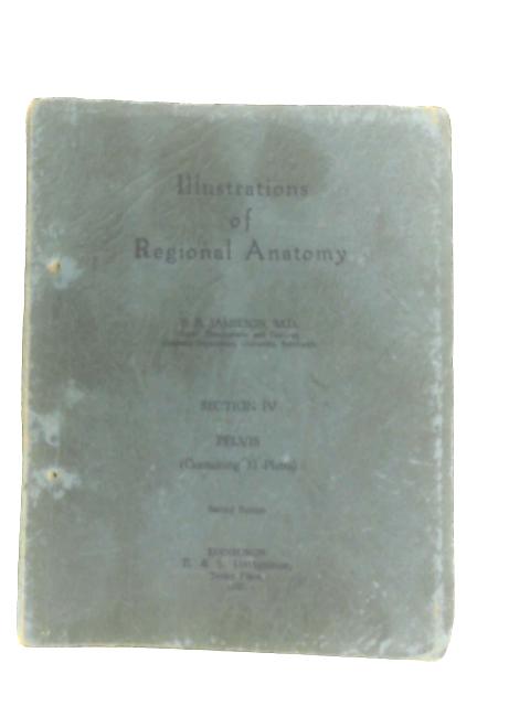 Illustrations Of Regional Anatomy Section IV: Pelvis By E. B. Jamieson