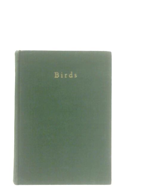 Birds By M. K. C. Scott