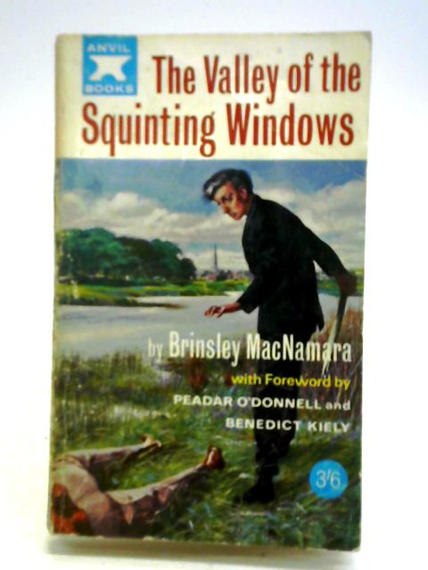 The Valley of Squinting Windows von Brinsley MacNamara