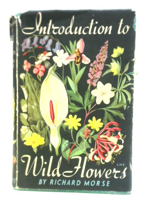Introduction to Wild Flowers von Richard Morse