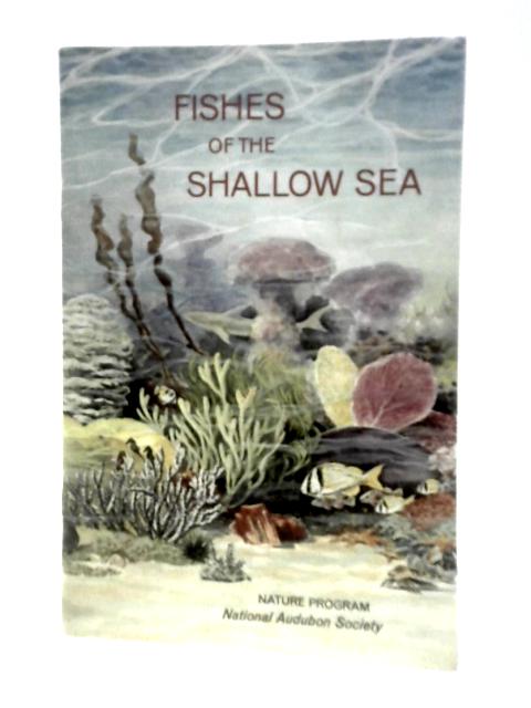 Fishes of the Shallow Sea By Russ Kinne