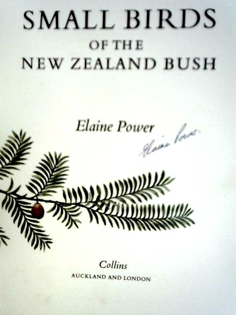 Small Birds of the New Zealand Bush By Elaine Power