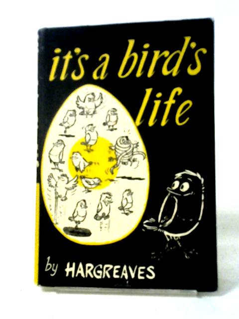 It's a Bird's Life By Hargreaves