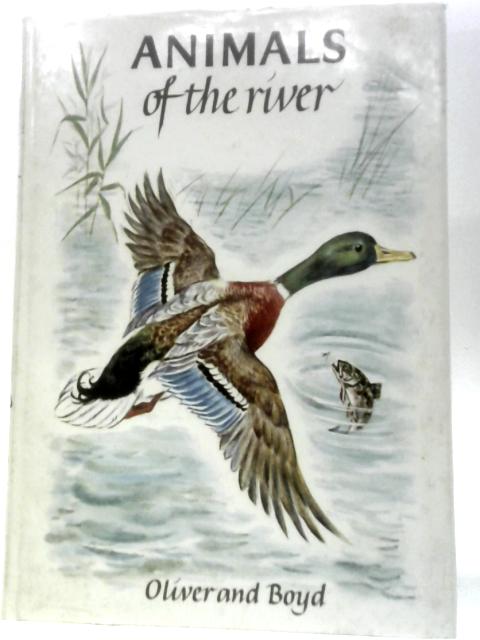 Animals Of The River von Marcelle Vrit